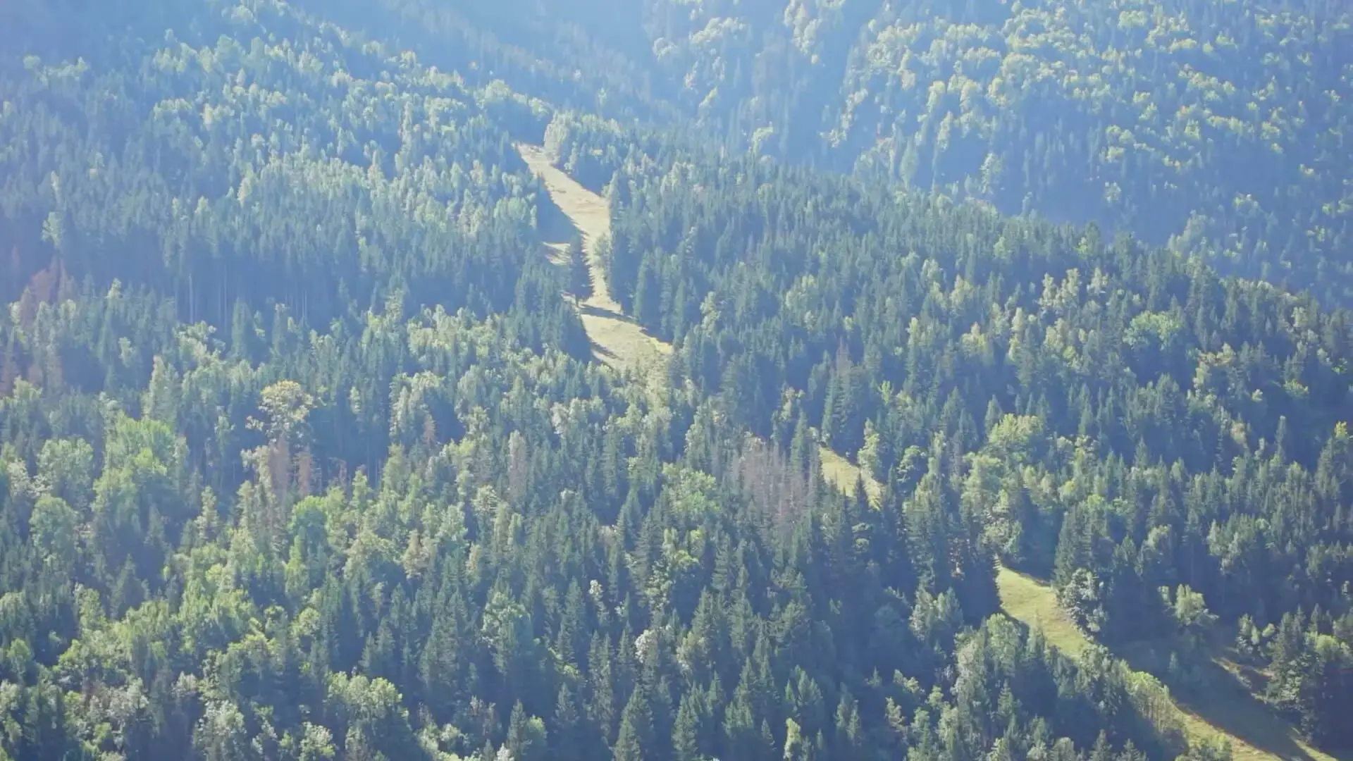 La piste noire de la Fare
