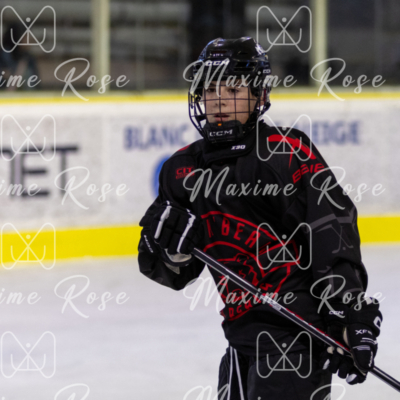 101038-TGJ25-PAM2-Villard-Red-Bears-18