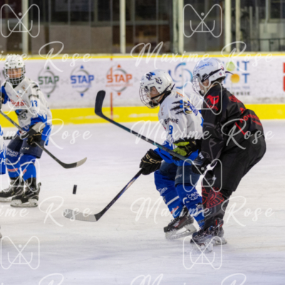 124632-TGJ25-DF-Red-Bears-Montpellier-2